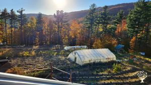 View from roof of farm pavilion. Captured in Fall.