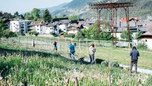 Fattoria bio-sociale