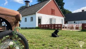 Smallholding, Family farm, Agriturismo Community farm