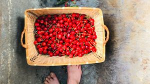 Azienda agricola familiare di montagna