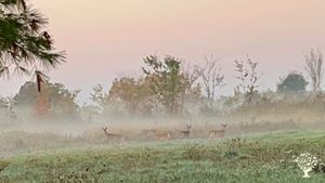 Wellness Retreat Center north of Kingston, Ontario