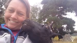 Sheep Breeding Community Farm