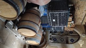 Domaine viticole, vigne de La Fouquette à Vezelay 89