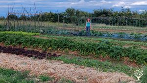 Ferme paysanne et sauvage dans la plaine de Valence