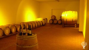 Azienda agricola produttrice di vino