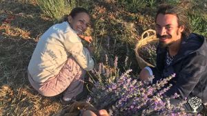 Smallholding, Vineyard, Mixed Farm, Farm, Family farm