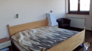 Raising and educating horses in a natural style