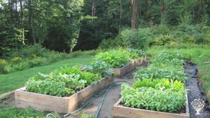 Homestead retreat in the beautiful Green Mountains of Southern Vermont