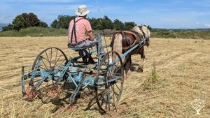 Regenerative small farm with horse-powered market garden, bread making and self-sufficient living