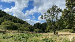 Stunning off-grid small holding, campsite and retreat centre deep in the forest