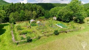 Kleine Gemeinschaft im Herzen des Pfälzer Waldes