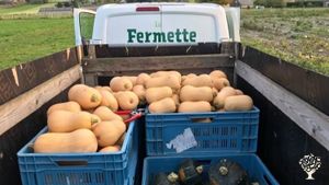 Maraîchage et vignoble biologiques, accueil familial