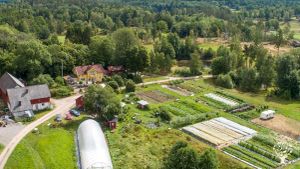 Permaculture farm growing vegetables for sale and raising animals for our own meat and eggs.