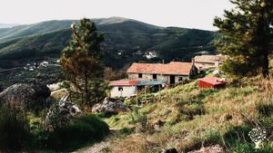 Organic farm for growing fruits and vegetables and reforestation