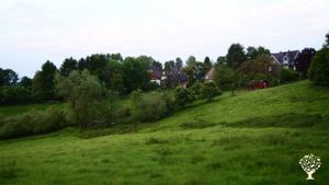 Inklusive Hofgemeinschaft mit Bioland-Landwirtschaft, Renovierung denkmalgeschütztes Fachwerkhaus