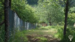 Ferme biologique dans le Trégor (Bretagne)
