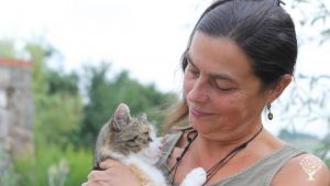 Permakultur-Selbstversorgerhof mit Tieren, Heuherberge und Garagengalerie