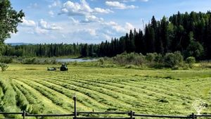 Family run farm - Pastured pigs, Grass fed beef, Hay production. English/Swiss German speaking.