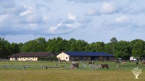 Family home and garden - rural, Educational Centre, Horse Ranch, Livestock Farm, Apiary