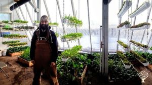 Deep Winter Greenhouse