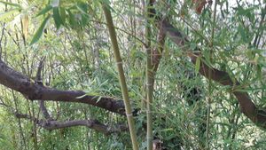 A lot of terraces in need of of a new destination