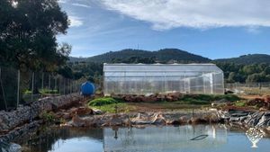 Azienda agricola biologica specializzata nella coltivazione e trasformazione piante officinali