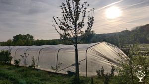 Verger Maraîcher du Pays de Fontainebleau