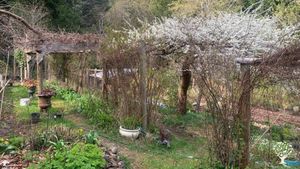 Family home and garden - rural