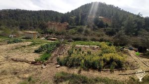 Permaculture community