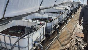 Small eco-village style loation, 100% homestead project with beekeeping.