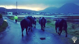 Three different Crofts across Skye