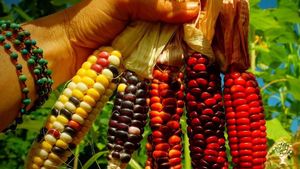 Small family farm   big gardens ✨ full circle focus
