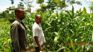 Ferme familiale, Ferme communautaire