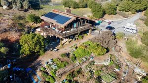 Vegetable&nbsp;garden and small orchard on a beautiful hillside near Monterey, California