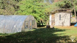 18 acres of woods, marsh and fields growing berries and vegetables