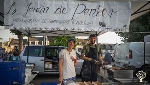 Mushrooms, gardens & creative projects in coastal France.