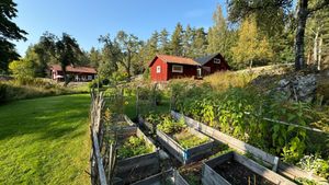 Farm with wilderness camp, forestgarden and courses in meditation