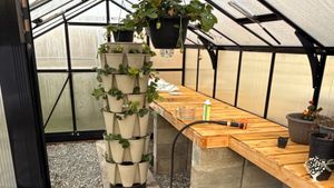 Homestead, Vegetables, Vegan friendly, LGBTQ-operated