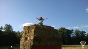 Biobauernhof mit vielen Tieren