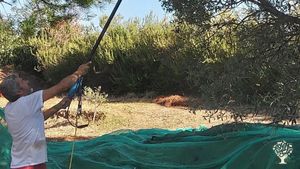 Laboratorio di saponi artigianali in Calabria