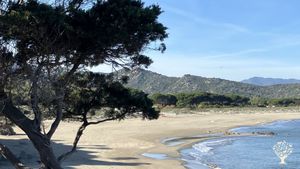 Sa Frisa azienda agricola biologica in Sardegna specializzata nella moltiplicazione delle sementi