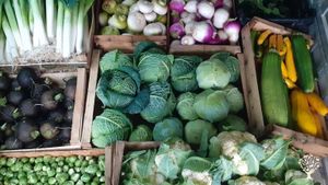 Ferme de maraichage bio