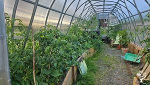 We live rurally in Gothenburg, growing and preserving vegan food with a focus on self-sufficied pres