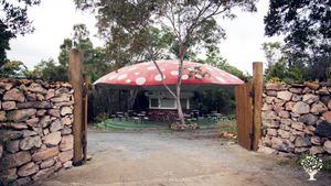 Produção de café cogumelos frutas hortaliças