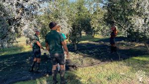 We are a organic certified and regenerative farm located in beautiful Menorca.