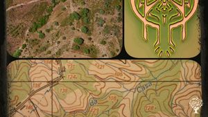 Organic food forestry farm