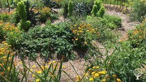 Non-commercial little family aiming for self-sufficiency