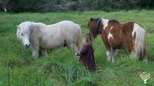 Family-run educational forest farm