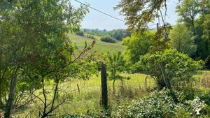 Vue des champs de la maison 