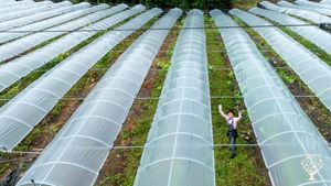 <GW134>산속 퍼머컬처 와이너리 / Permaculture Winery in the Mountains